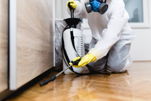 Best Exterminator Services  in Shaw, MS