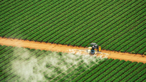 Pest Control Cost in Shaw, MS
