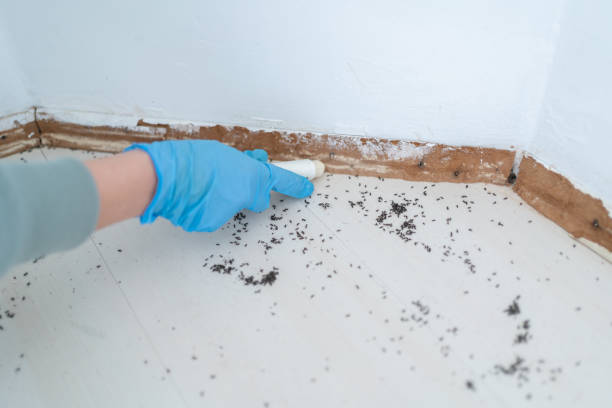 Best Pest Removal Services  in Shaw, MS