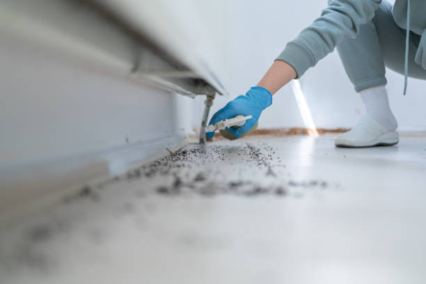 Professional Pest Control in Shaw, MS